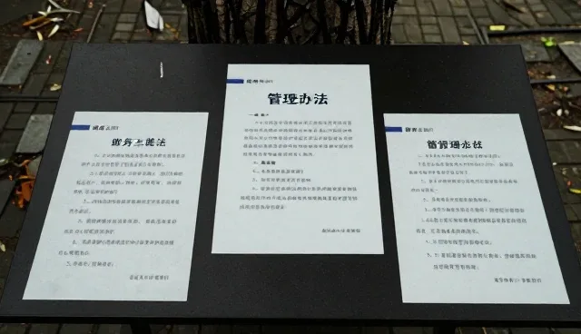 如何在旅游服务定制中把握用户需求与市场趋势